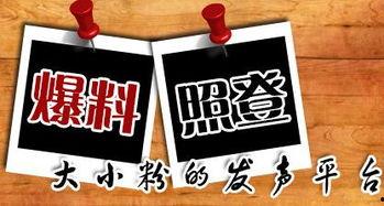 新闻爆料配图,事件背后真相令人震惊