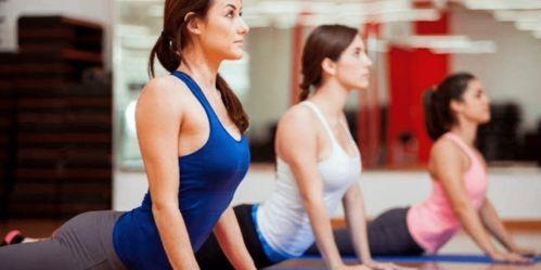 乐刻瑜伽爆料视频下载免费,免费下载瑜伽教程,轻松入门健康生活 第2张 乐刻瑜伽爆料视频下载免费,免费下载瑜伽教程,轻松入门健康生活 第2张