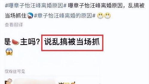 刘大锤今日爆料最新消息