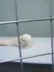 娱乐搞笑爆料站,揭秘明星幕后趣事