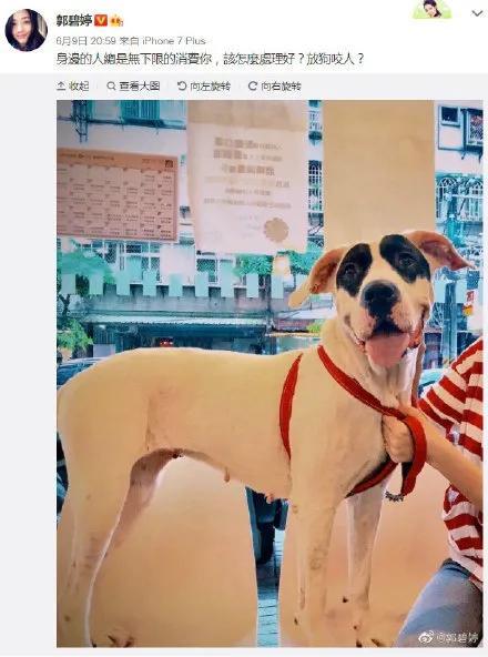 娱乐吃瓜郭碧婷微博,娱乐圈幕后故事大揭秘 第3张 娱乐吃瓜郭碧婷微博,娱乐圈幕后故事大揭秘 第3张