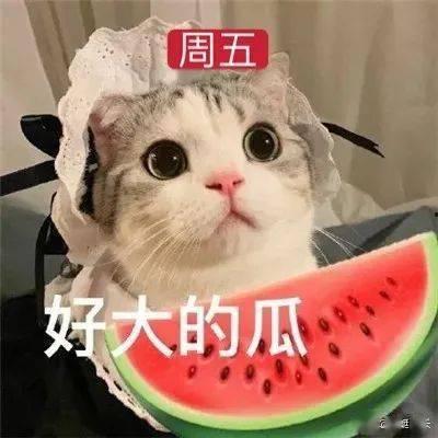 网红吃瓜猛料黄料桃喵喵,黄料大揭秘！
