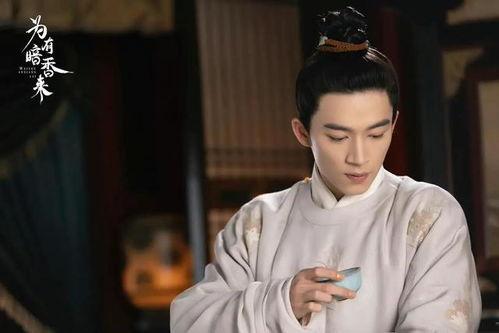 刘大锤爆料古装视频在线观看,古装视频在线观看，带你穿越时空领略古风魅力