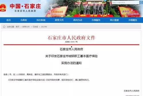 石家庄爆料生活视频,街头巷尾新鲜事 第3张 石家庄爆料生活视频,街头巷尾新鲜事 第3张