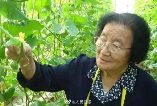 广西夫妻网红吃瓜是谁 第3张 广西夫妻网红吃瓜是谁 第3张