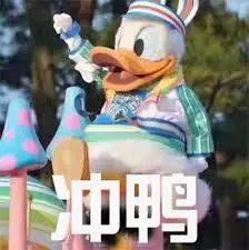 灰太狼爆料主播视频播放,主播视频播放背后的秘密大曝光