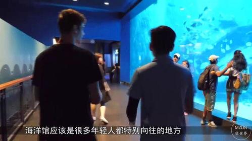 白鲨内部人员爆料视频,独家视频曝光惊人内幕 第3张 白鲨内部人员爆料视频,独家视频曝光惊人内幕 第3张