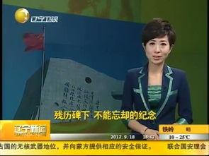 辽宁卫视新闻爆料电话,揭秘幕后真相