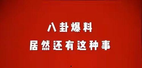 娱乐圈新闻八卦爆料有奖,揭秘明星背后的惊人真相，大奖等你来拿！