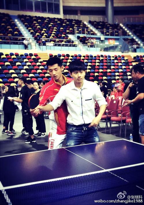 乒乓一姐被爆料视频,真相与争议 第2张 乒乓一姐被爆料视频,真相与争议 第2张