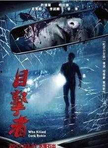 目击者追凶在线观看,真相大白背后的惊心动魄 第3张 目击者追凶在线观看,真相大白背后的惊心动魄 第3张