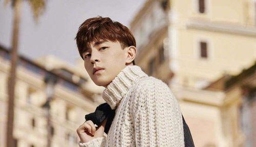 杨紫和肖战娱乐爆料了吗,最新动态揭秘 第3张 杨紫和肖战娱乐爆料了吗,最新动态揭秘 第3张