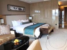 石狮绿岛最新爆料,揭秘神秘项目背后的惊人真相  第1张