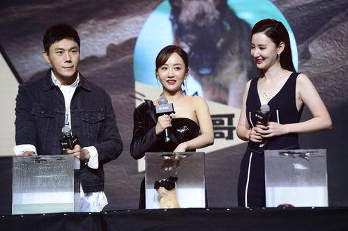 娱乐圈吃瓜爆料一天五位,揭秘五位明星幕后故事 第3张 娱乐圈吃瓜爆料一天五位,揭秘五位明星幕后故事 第3张