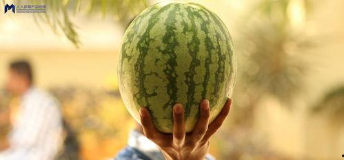 娱乐圈的大瓜吃瓜,揭秘明星背后的惊人真相